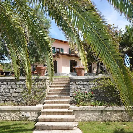 Le Palme *