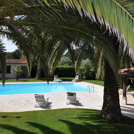 Le Palme